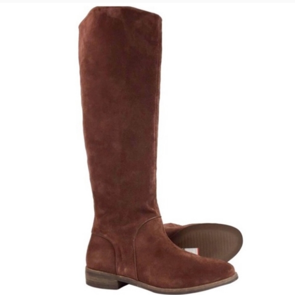 Ugg Daley Tall Boot - Chestnut Brown - Picture 5 of 6